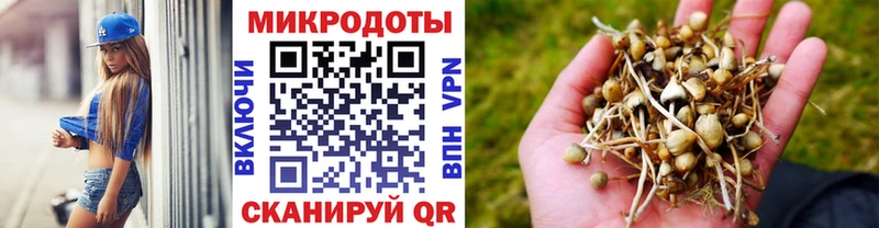 Галлюциногенные грибы мицелий  Купить закладки  Можайск 